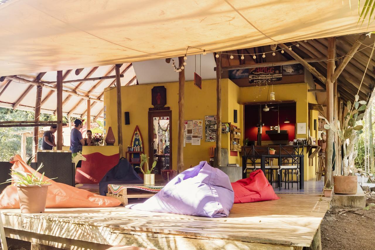 Hotel Mauna Loa Pinilla Dış mekan fotoğraf