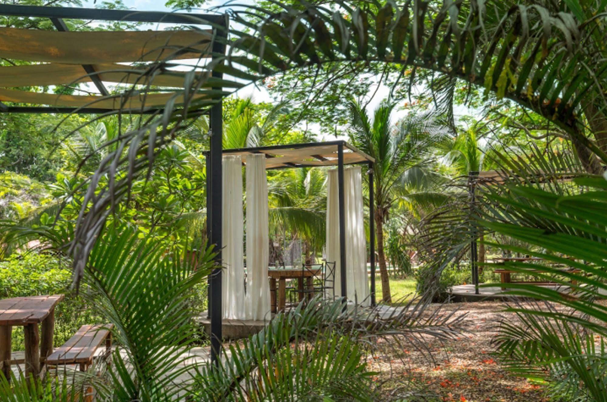 Hotel Mauna Loa Pinilla Dış mekan fotoğraf